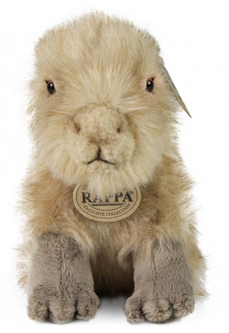 c2a92f86d16775344b8f5651ff5d7994