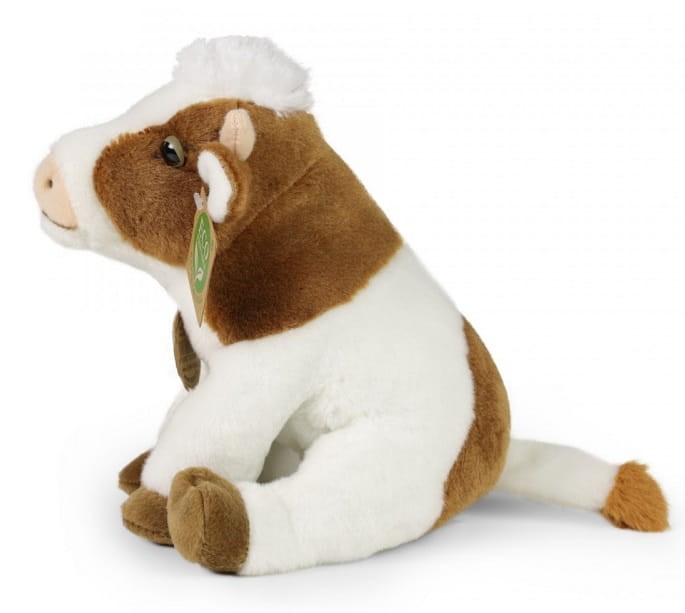 36297a0927d0766b162e36b8438f4f4e