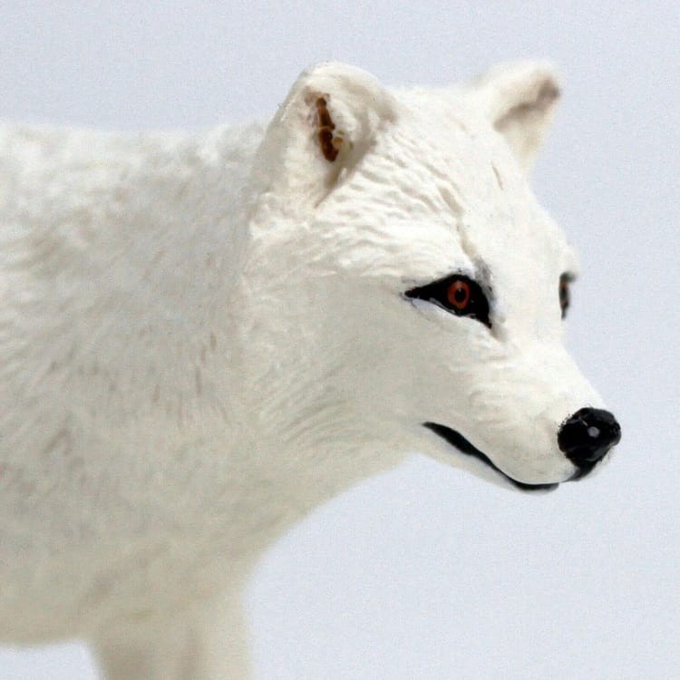 Safari Ltd - Figurka Lis polarny 100731
