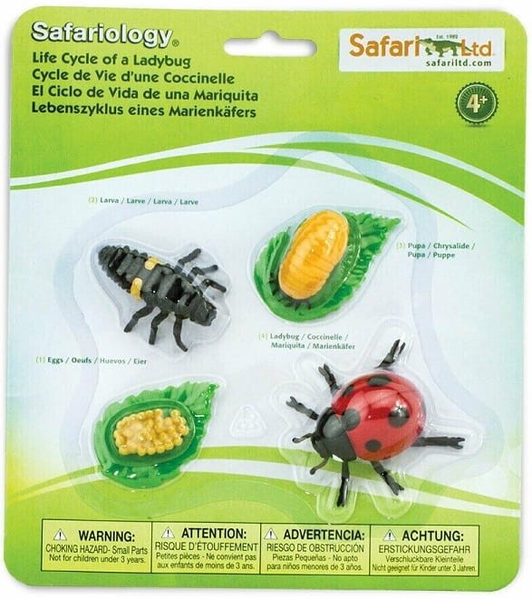 Safari Ltd - Zestaw figurek - Cykl życia biedronki 662716