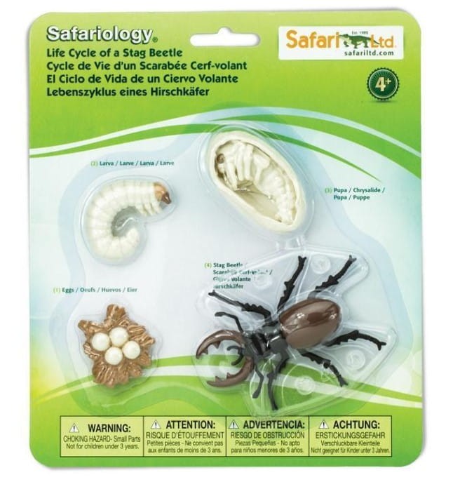 Safari Ltd - Zestaw figurek - Cykl życia chrząszcza 661416