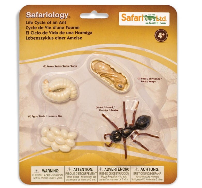 Safari Ltd - Zestaw figurek - Cykl życia mrówki 663916