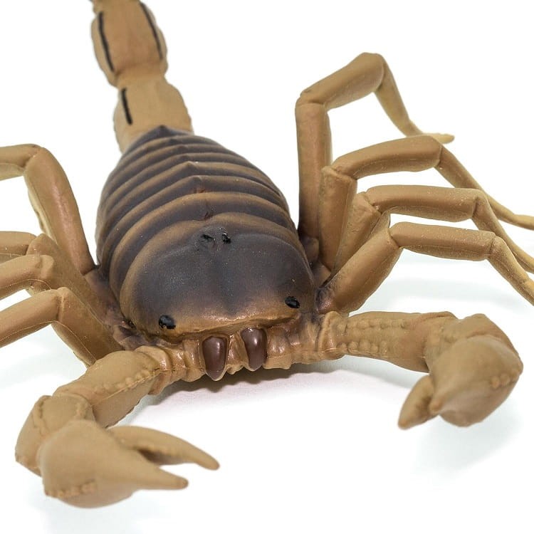 Safari Ltd. - Figurka skorpion 100260