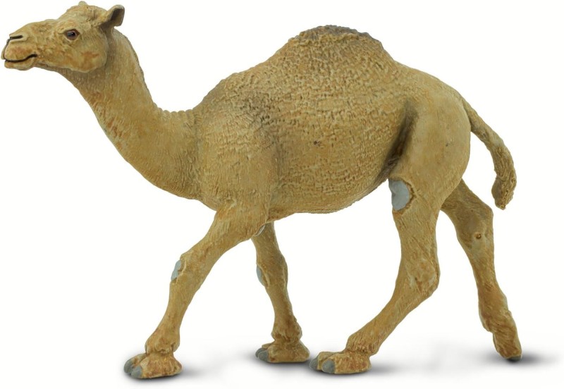 Safari Ltd. - Figurka Wielbłąd dromader  222429