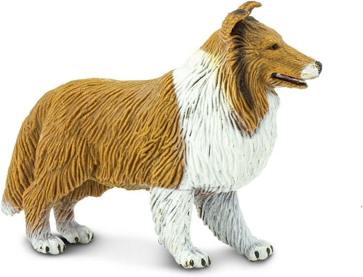 Safari Ltd. -  Figurka Collie  239329
