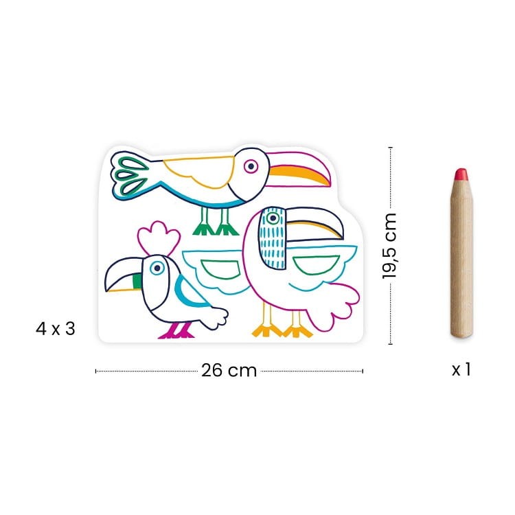 DJECO - Magiczne kolorowanki Dzikie Rodzinki 00066