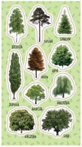 RANOK - Naklejki drzewa – 0938