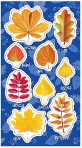 RANOK - Naklejki jesienne liście – 0952