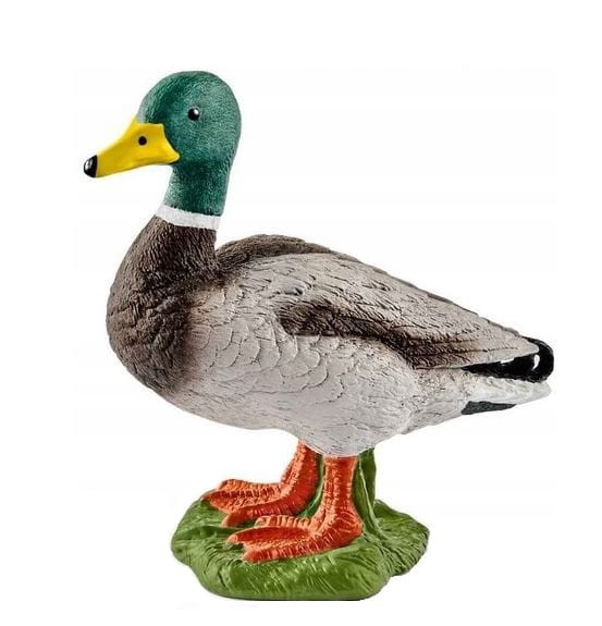 Schleich - Figurka Kaczor Kaczka - 13824