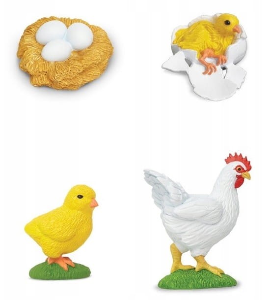 Safari Ltd - Zestaw figurek - Cykl życia kury 662816