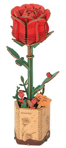 Robotime - Model 3D - Czerwona róża TW042