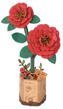 Robotime - Model 3D - Kamelia TW031