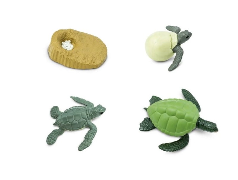 Safari Ltd - Zestaw figurek - Cykl życia żółwia 662316