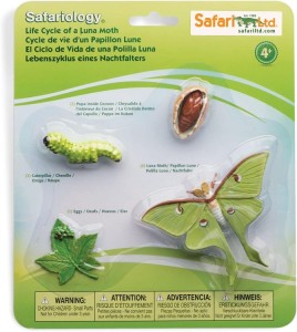 Safari Ltd - Cykl życia ćmy 663516
