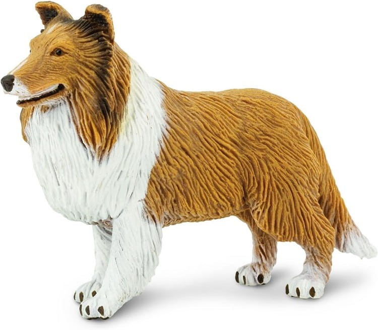 Safari Ltd. -  Figurka Collie  239329